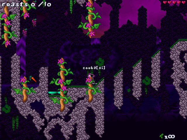 Rainforest Revelry